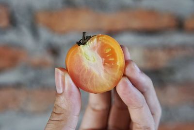 Close-up of hand holding tomato