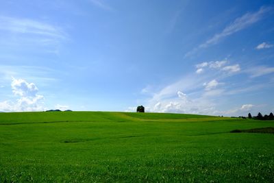 Scenic view of grassy field against cloudy sky