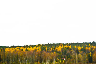 View of field against clear sky