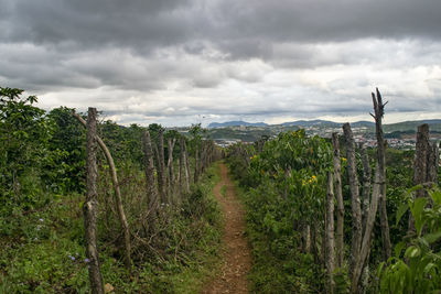 Scenic view of land against sky