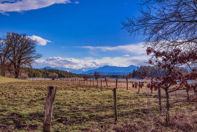 Scenic view of landscape against blue sky