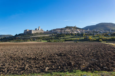 Scenic view of agricultural field against blue sky