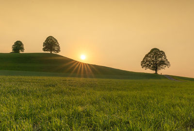 Scenic view of field against sky during sunset