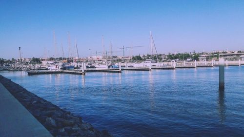 Sailboats in marina at harbor against clear blue sky