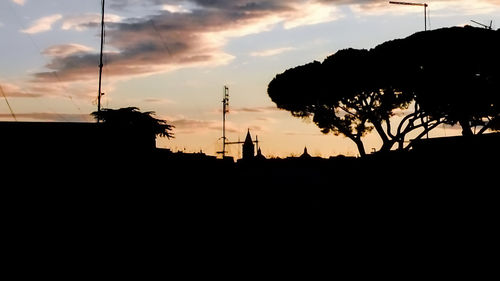 Silhouette of trees at sunset