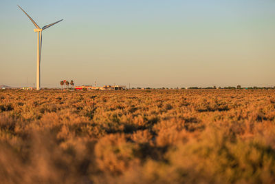 Desert,  windmills , high angle view of agricultural field, desert, sunset