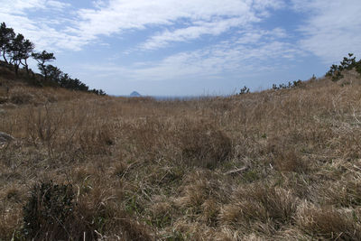 Scenic view of field against sky