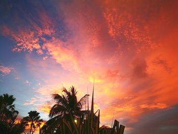 Low angle view of silhouette trees against dramatic sky