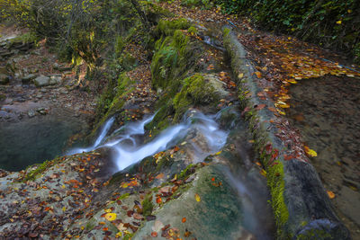 Scenic view of waterfall in forest