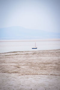 Sailboat sailing on sea against sky