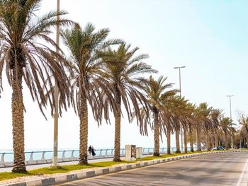 Palm trees by road against clear sky