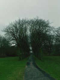 Trees on grass against sky