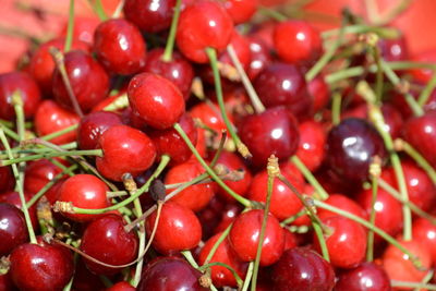 Close-up of cherries