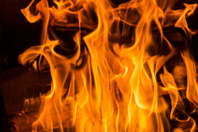 Close-up of fire at night