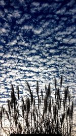 Scenic view of landscape against cloudy sky