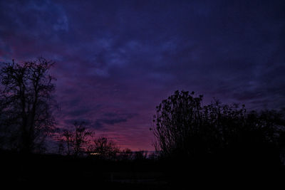 Silhouette trees on field against sky at sunset