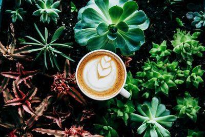 Directly above shot of cappuccino with coffee cup