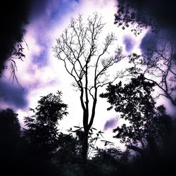 Low angle view of bare tree against cloudy sky