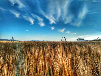 Scenic view of field against cloudy sky