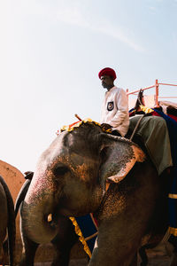 Man riding horse