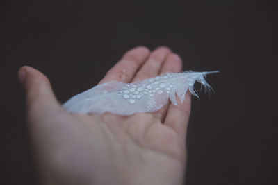 Close-up of hand holding feather against black background