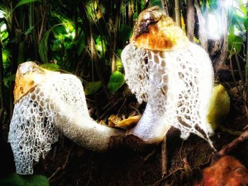 Close-up of man in water