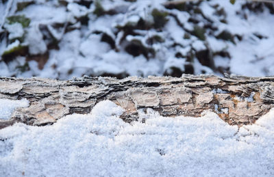 Close-up of snow on rock