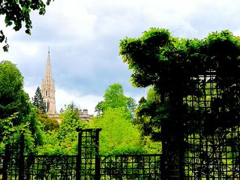 Trees in city against sky