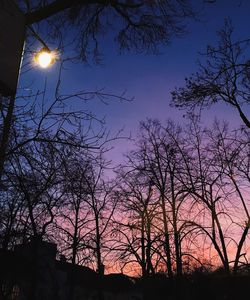 Low angle view of silhouette trees against sky during sunset