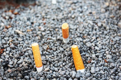 Close-up of pebbles on ground