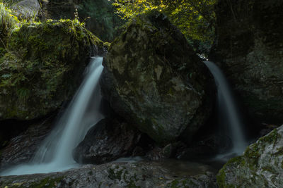 Scenic view of waterfall in forest