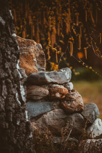 Close-up of buddha statue on rock