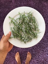 Low section of woman holding herbs in plate while standing on carpet