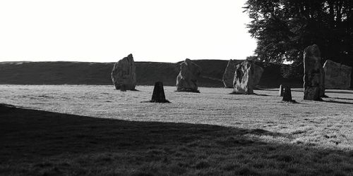 Dog on field against clear sky