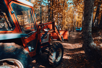 Vintage car in forest during autumn