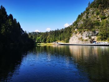 Scenic view of lake in forest against sky