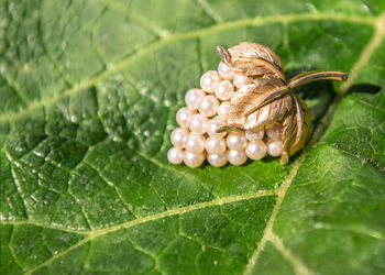 Close-up of brooch on leaf