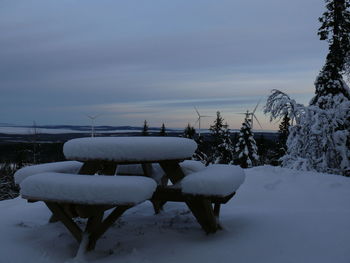 Snow covered trees