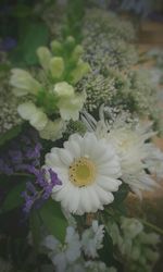 Close-up of white flowers blooming outdoors