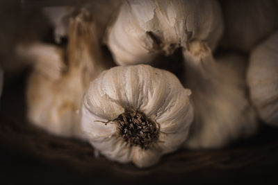 Close-up of garlic 