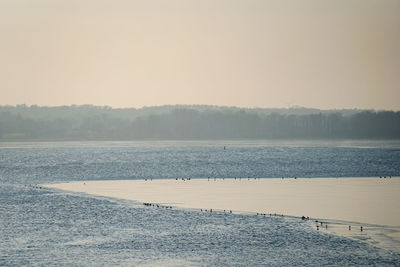 Scenic view of frozen lake against clear sky