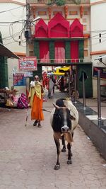 People walking on street in city