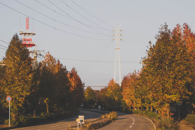 Street amidst trees against sky