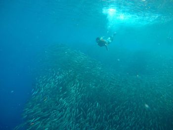 High angle view of woman swimming by fish in sea