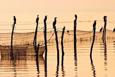 Silhouette people standing by wooden posts in sea against sunset sky