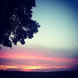 Silhouette of trees on landscape at sunset