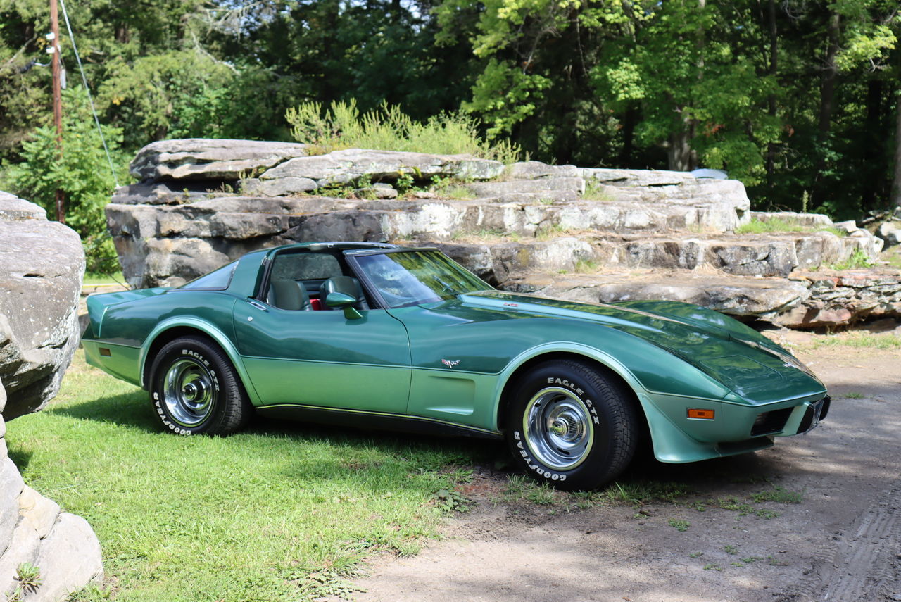 car, vehicle, land vehicle, mode of transportation, motor vehicle, transportation, sports car, plant, tree, retro styled, day, nature, green, vintage car, tvr, no people, outdoors, race car, supercar, performance car, land