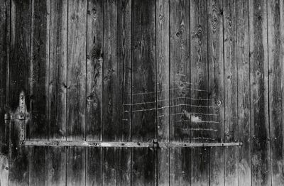 Full frame shot of wood