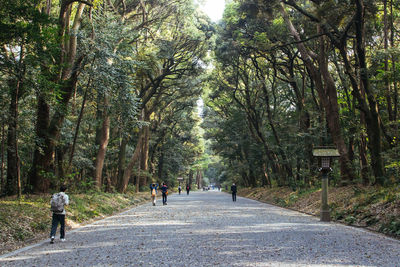 Road passing through forest