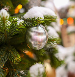 Close-up of christmas decorations hanging on tree